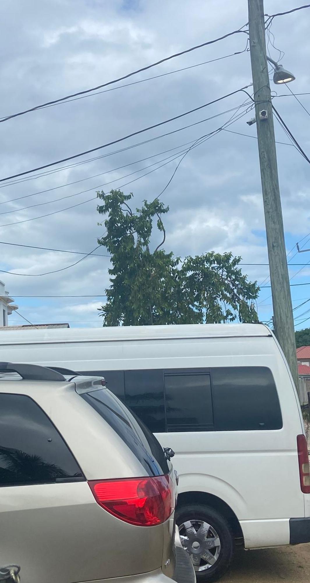 Chaleanor Hotel Dangriga Bagian luar foto