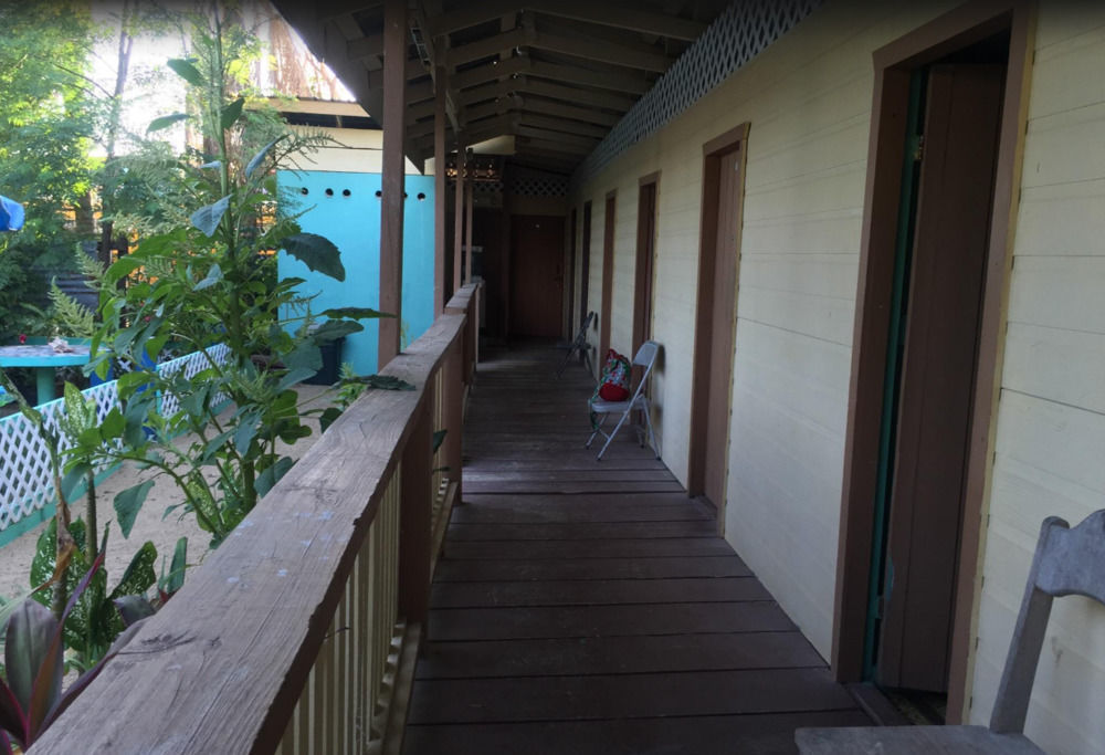Chaleanor Hotel Dangriga Bagian luar foto