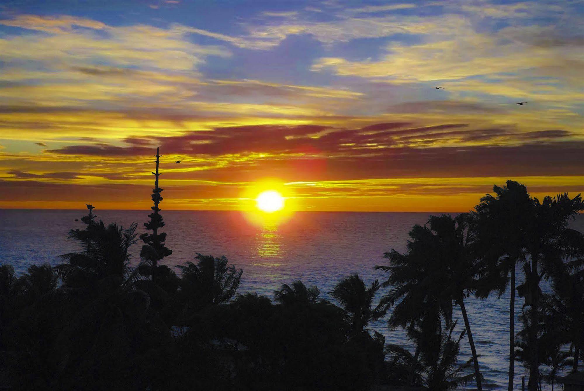 Chaleanor Hotel Dangriga Bagian luar foto